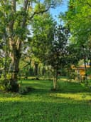 Jardin de los Anturios