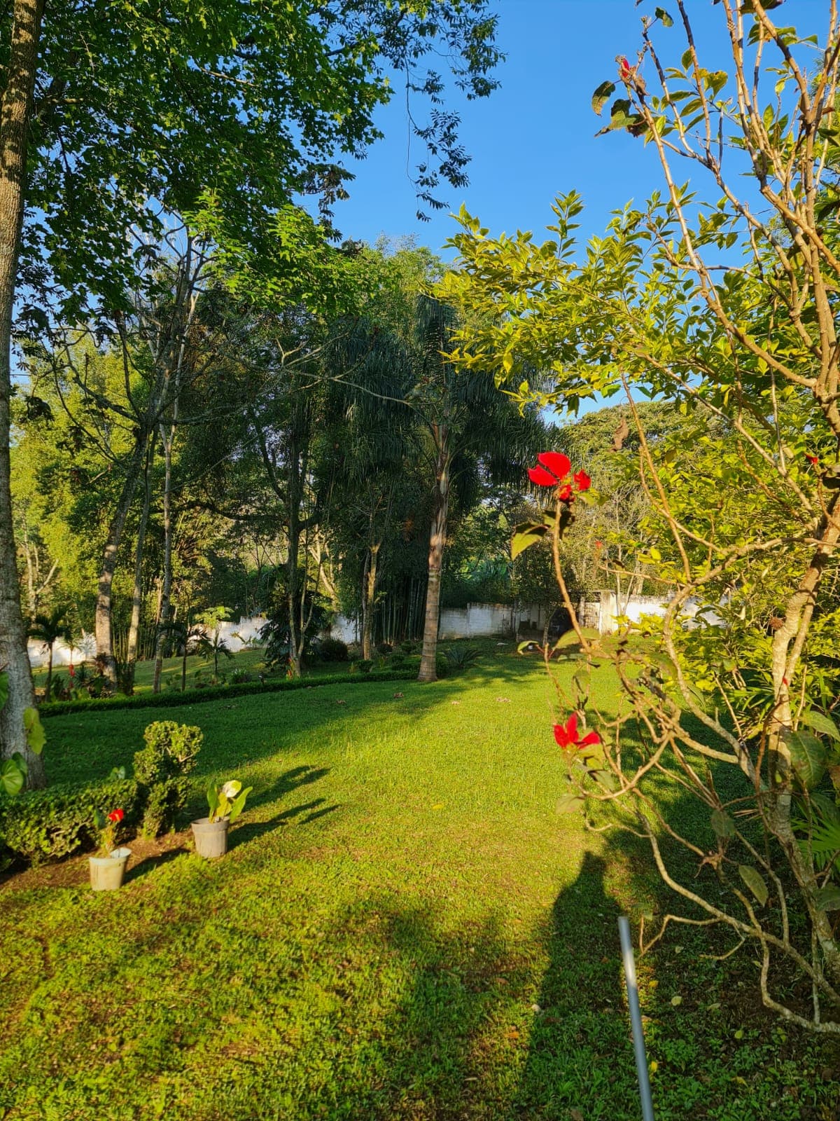 Jardin de los Anturios imagen 3