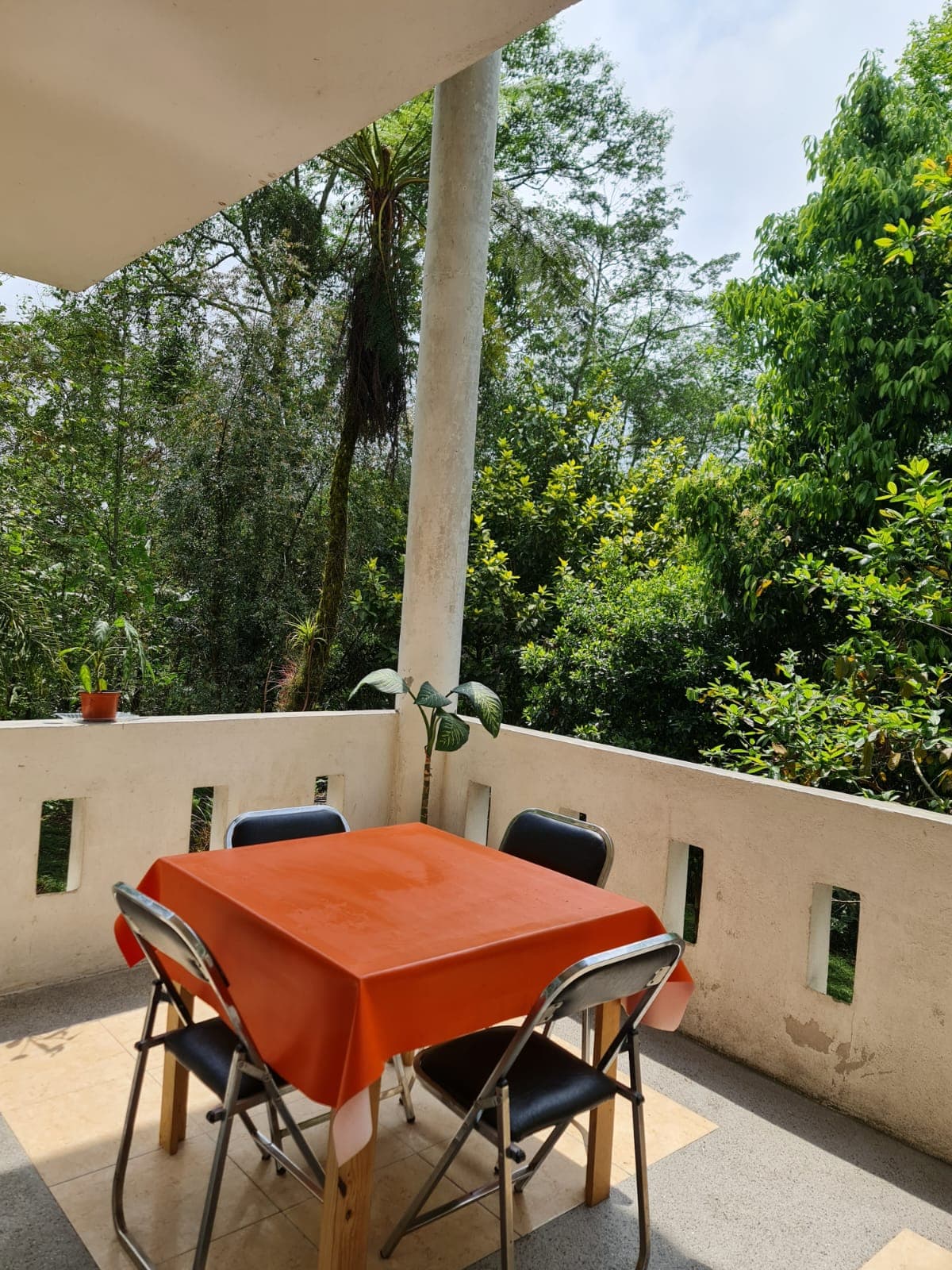 Jardin de los Anturios imagen 4