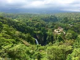 Jardin de los Anturios imagen 13
